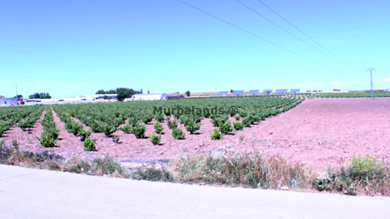 Terreno destacado