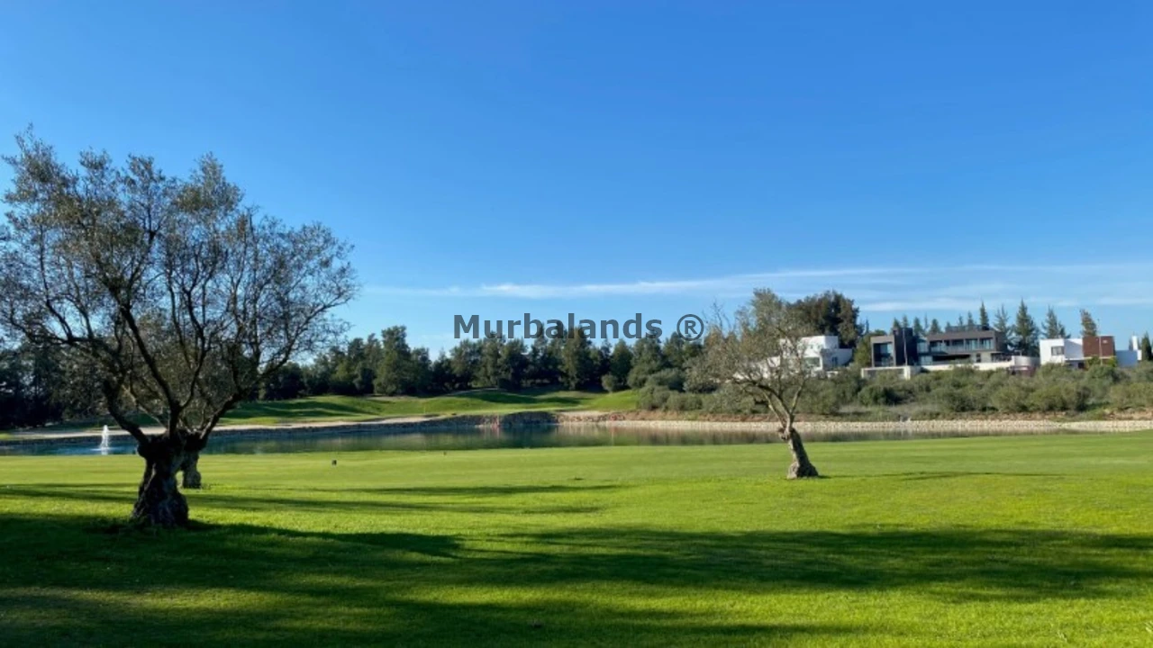 Foto de un terreno o una obra parada para mostrar en el detalle del inmueble