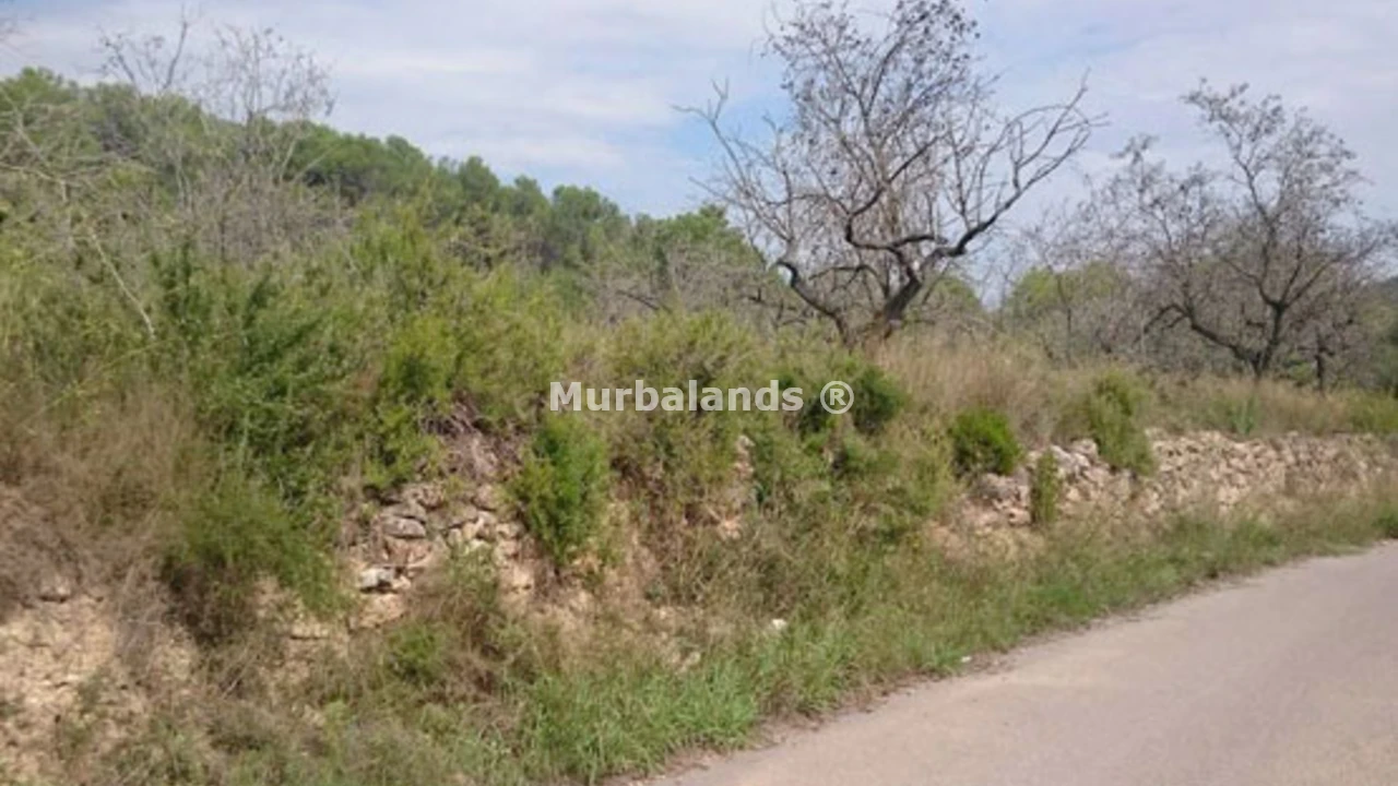 Foto de un terreno o una obra parada para mostrar en el detalle del inmueble