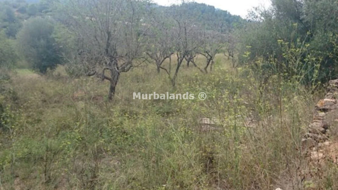 Foto de un terreno o una obra parada para mostrar en el detalle del inmueble