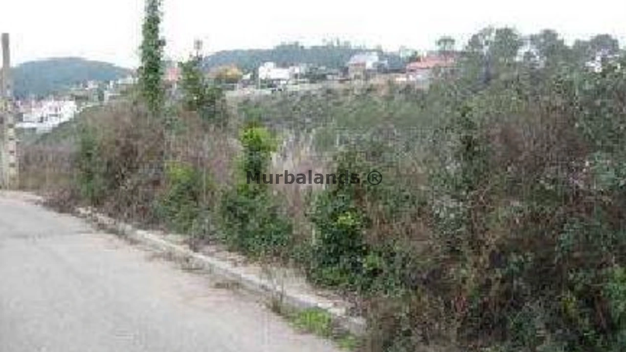 Terreno destacado