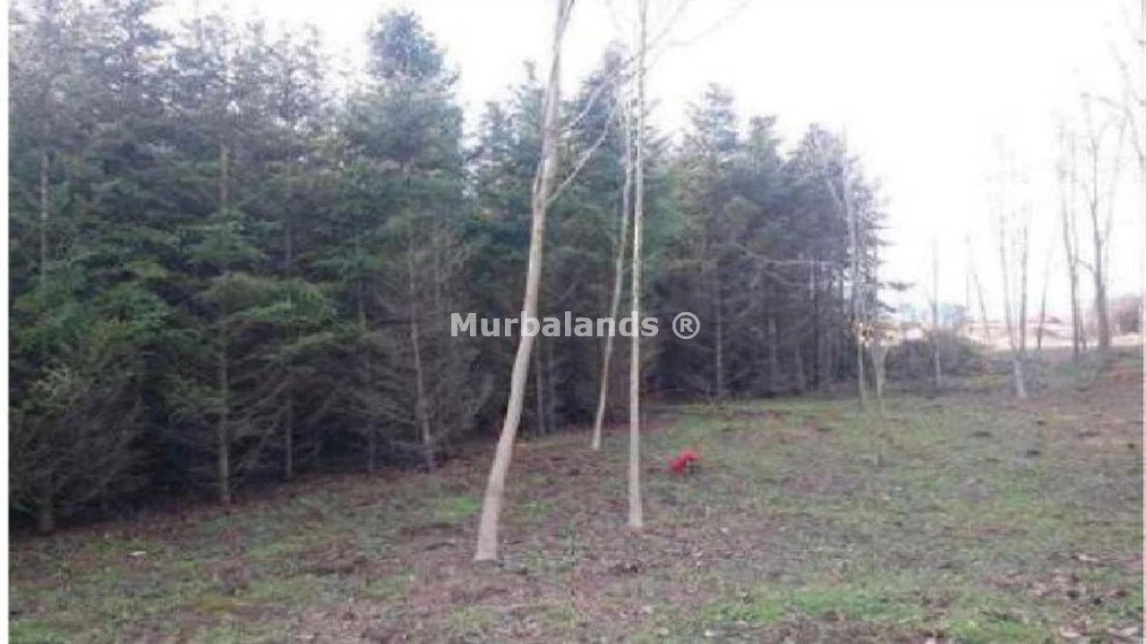 Foto del anuncio Ref. 00005257