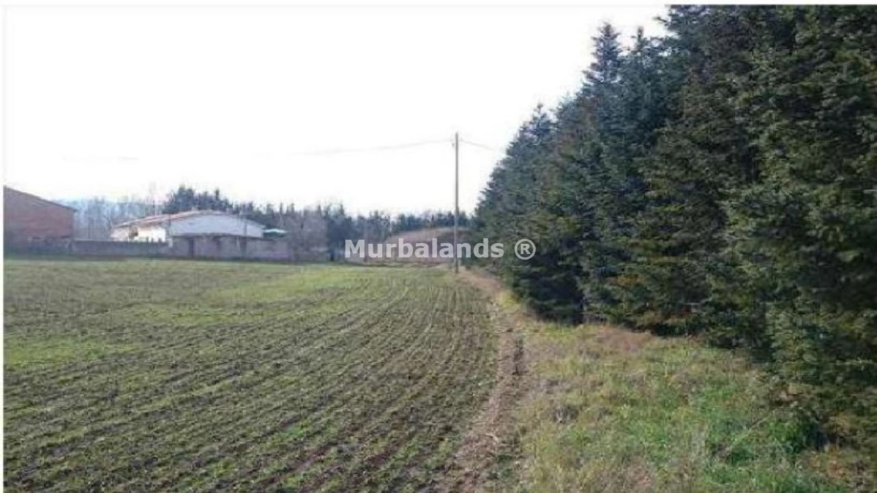 Foto del anuncio Ref. 00005257