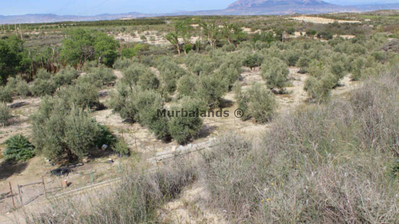 Foto de un terreno o una obra parada para mostrar en el detalle del inmueble