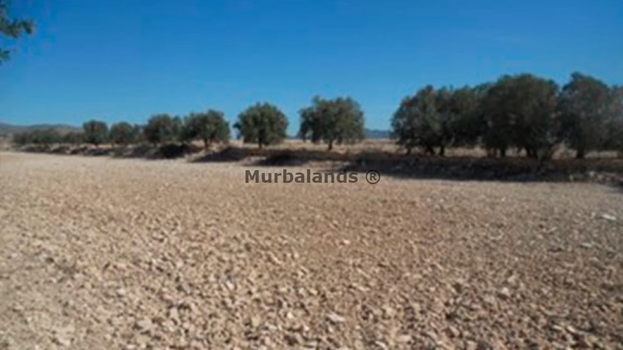 Foto de un terreno o una obra parada para mostrar en el detalle del inmueble