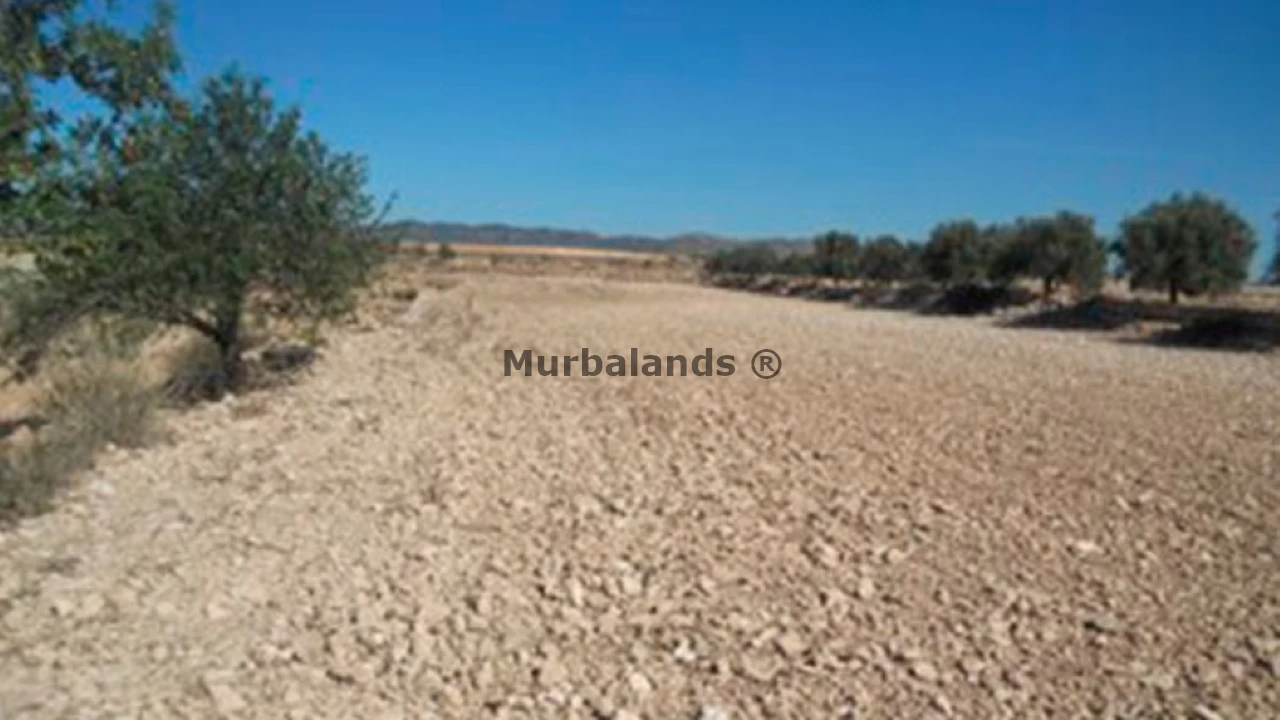 Foto de un terreno o una obra parada para mostrar en el detalle del inmueble