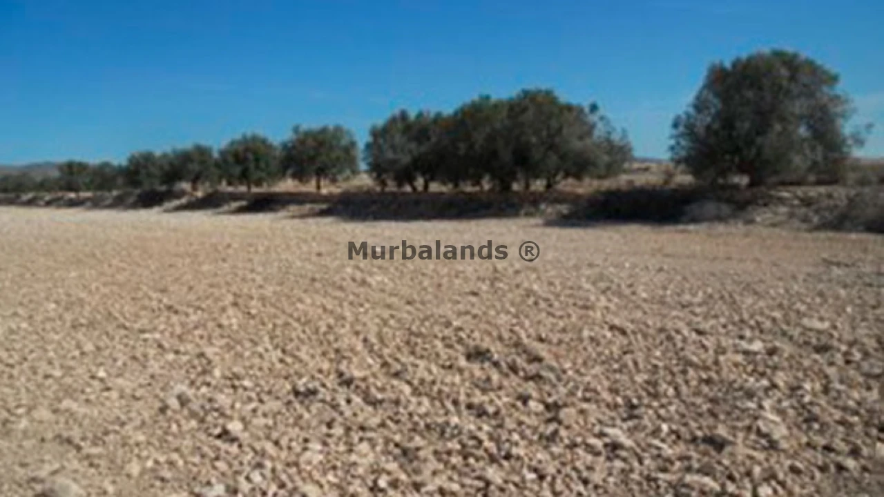 Foto de un terreno o una obra parada para mostrar en el detalle del inmueble