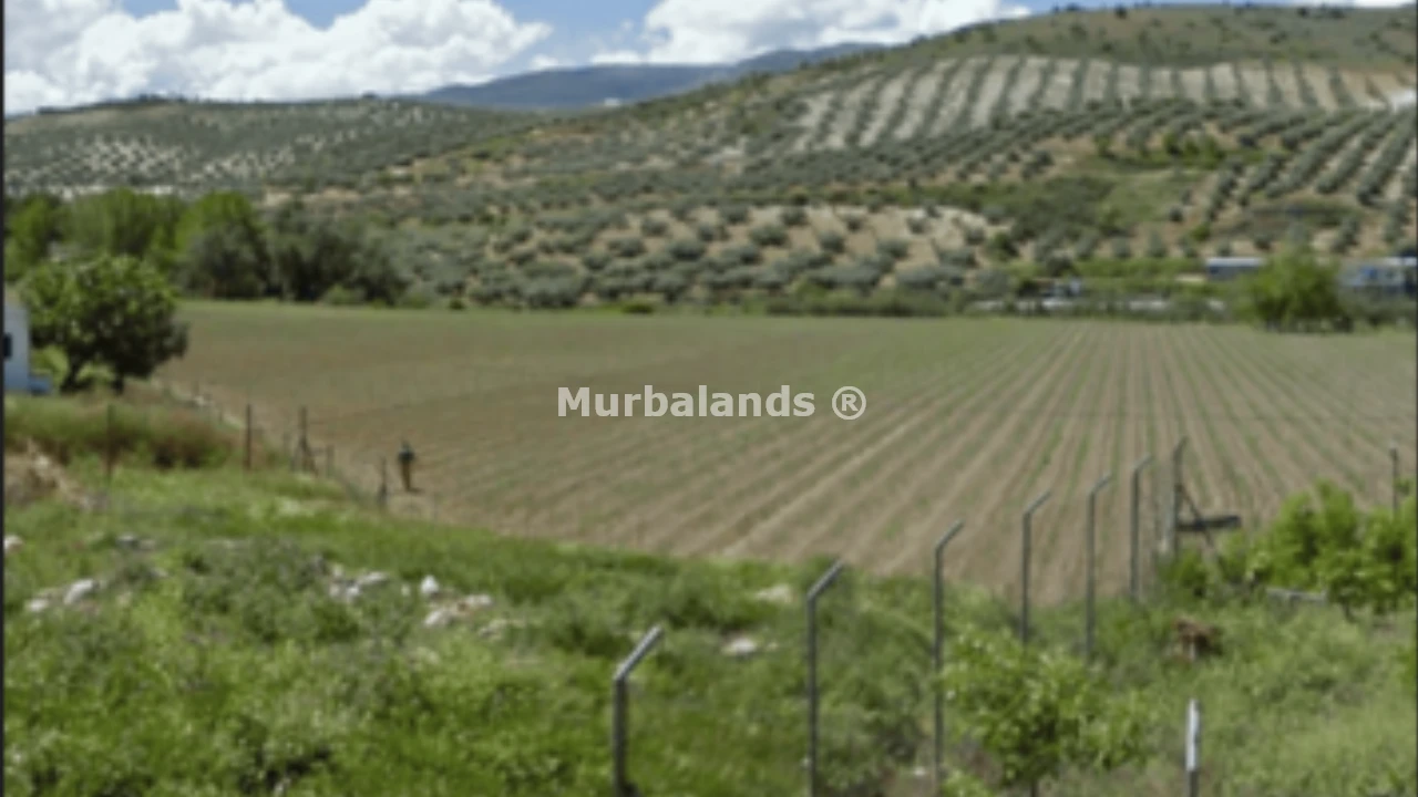 Foto del anuncio Ref. 00005341