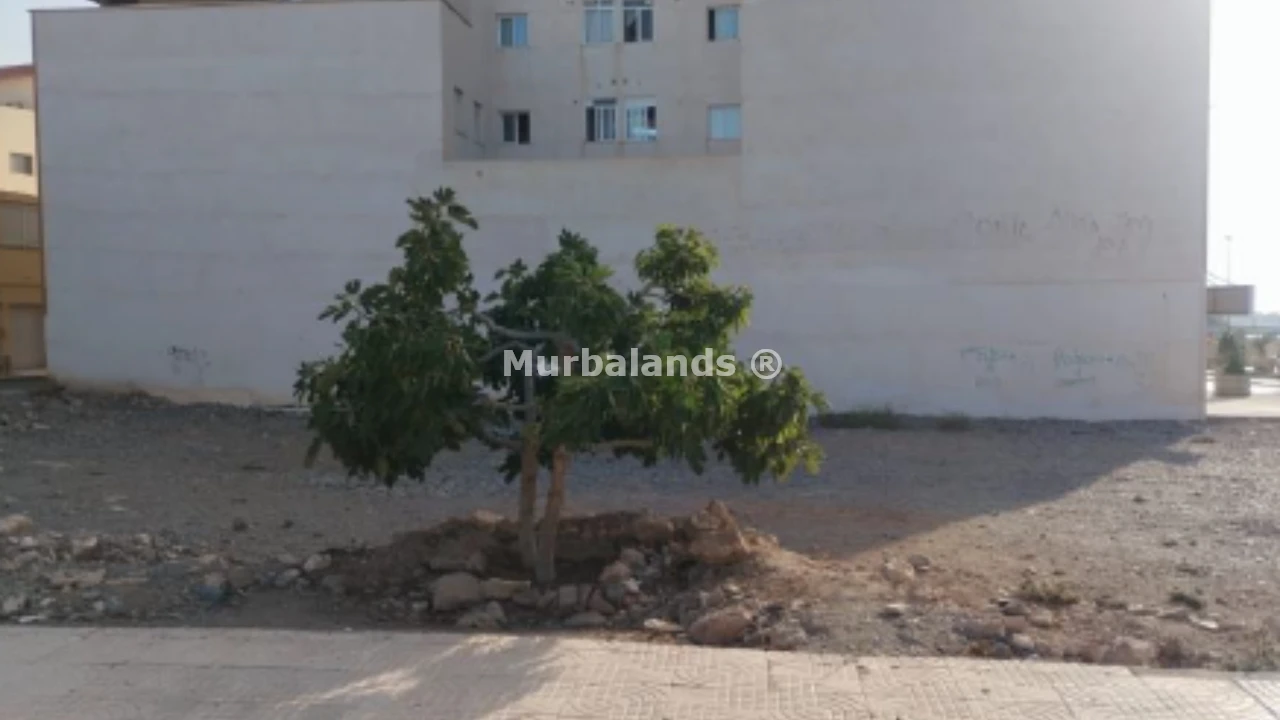 Foto de un terreno o una obra parada para mostrar en el detalle del inmueble