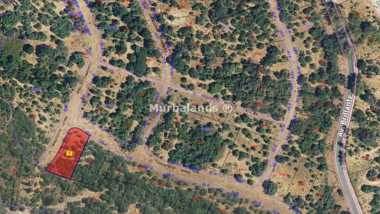 Foto de un terreno o una obra parada para mostrar en el detalle del inmueble