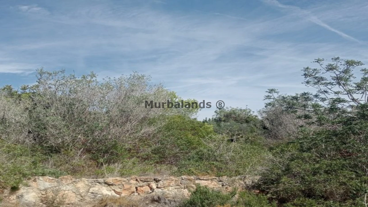 Foto de un terreno o una obra parada para mostrar en el detalle del inmueble