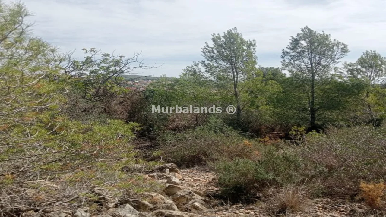 Foto de un terreno o una obra parada para mostrar en el detalle del inmueble