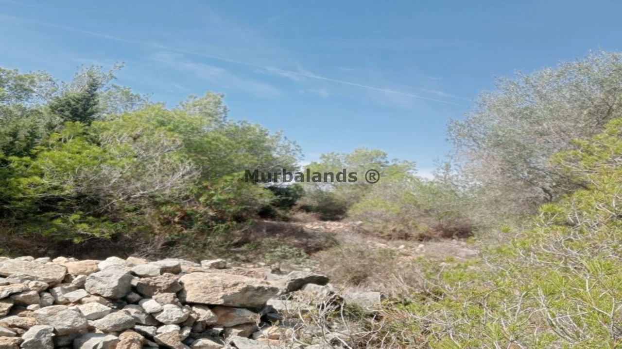 Foto de un terreno o una obra parada para mostrar en el detalle del inmueble
