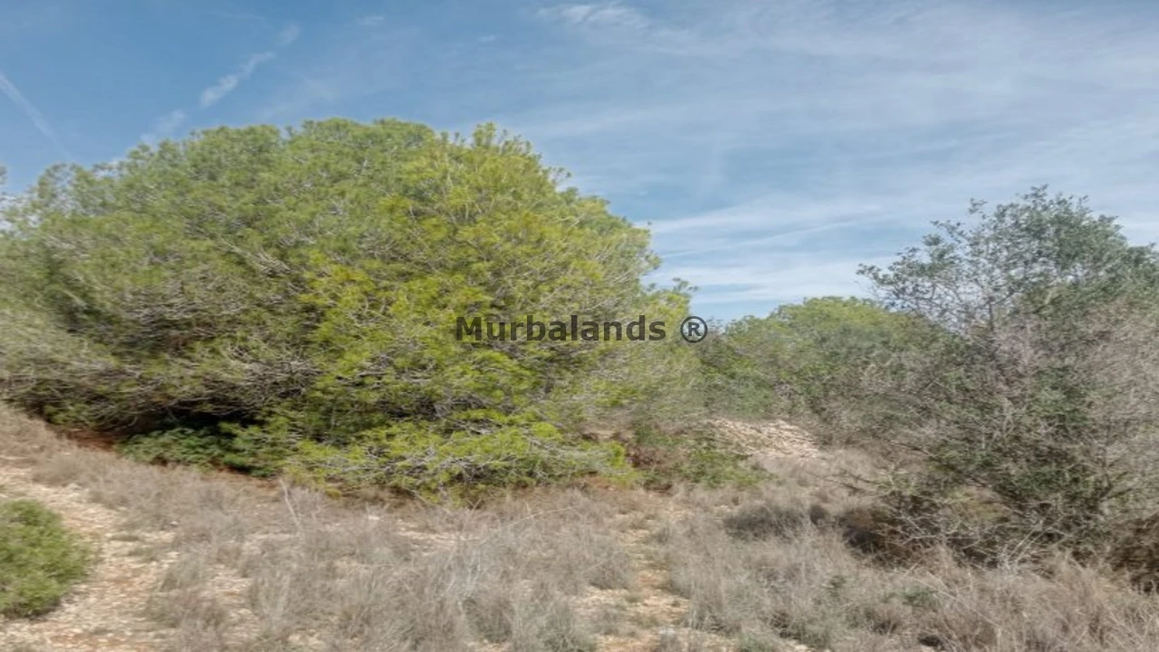 Foto de un terreno o una obra parada para mostrar en el detalle del inmueble