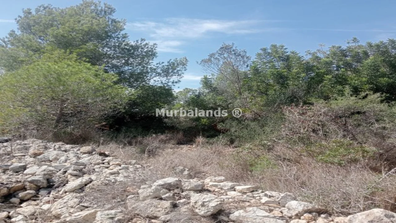 Foto de un terreno o una obra parada para mostrar en el detalle del inmueble