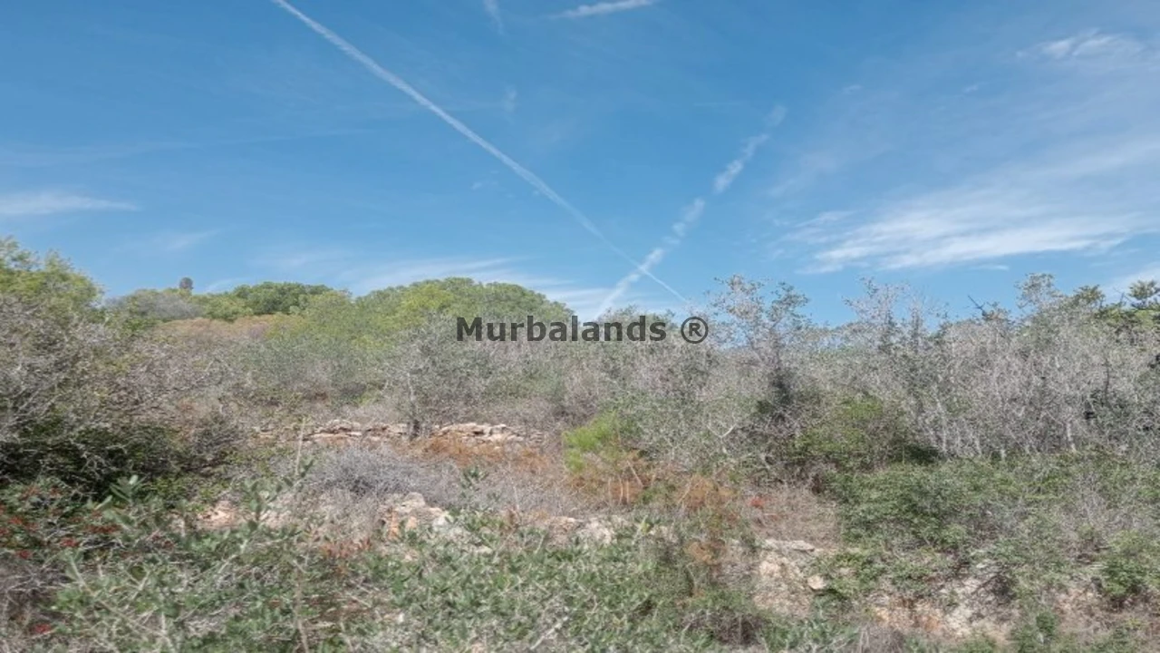 Foto de un terreno o una obra parada para mostrar en el detalle del inmueble