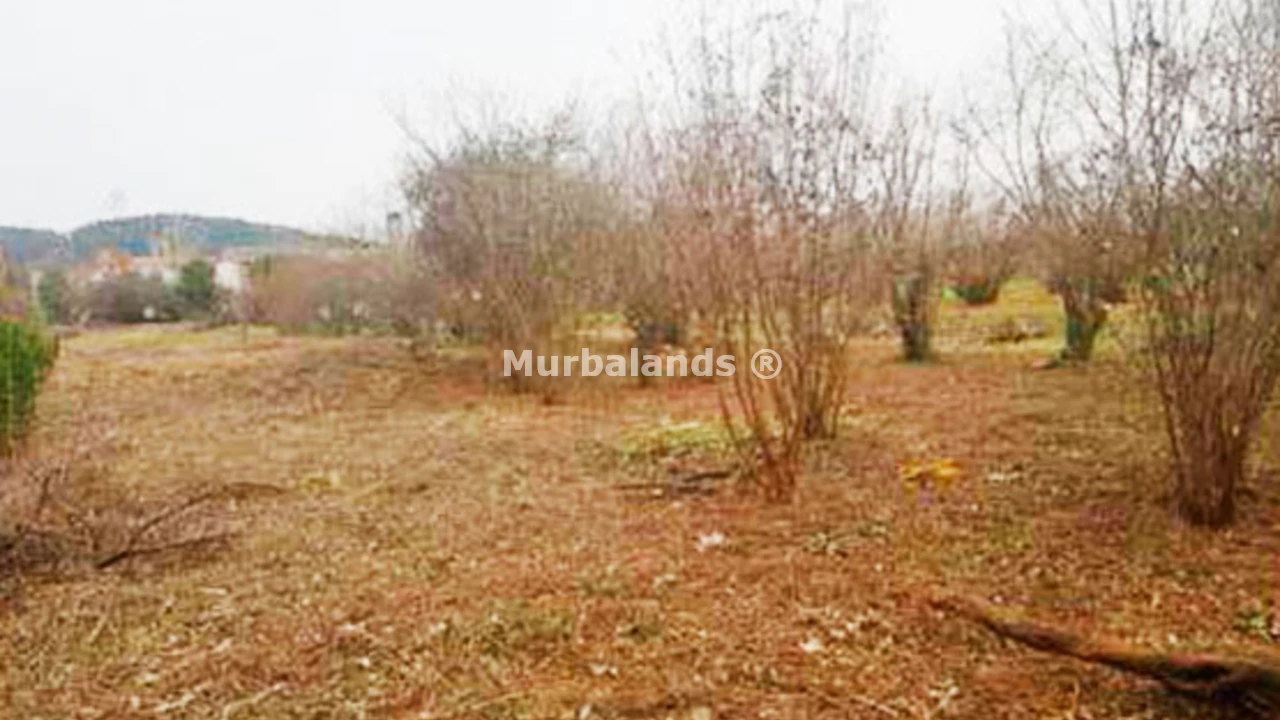 Foto de un terreno o una obra parada para mostrar en el detalle del inmueble
