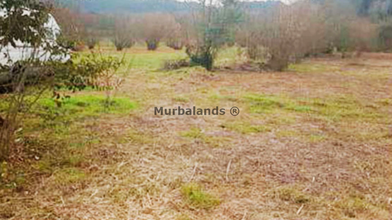 Foto de un terreno o una obra parada para mostrar en el detalle del inmueble