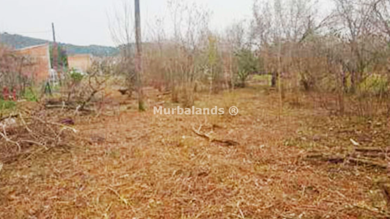 Foto de un terreno o una obra parada para mostrar en el detalle del inmueble