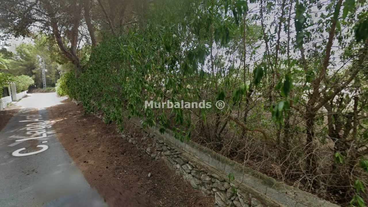 Terreno destacado