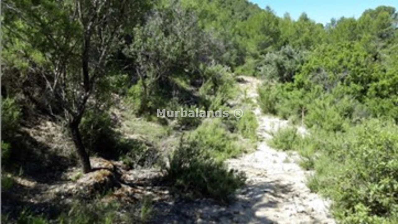 Foto de un terreno o una obra parada para mostrar en el detalle del inmueble