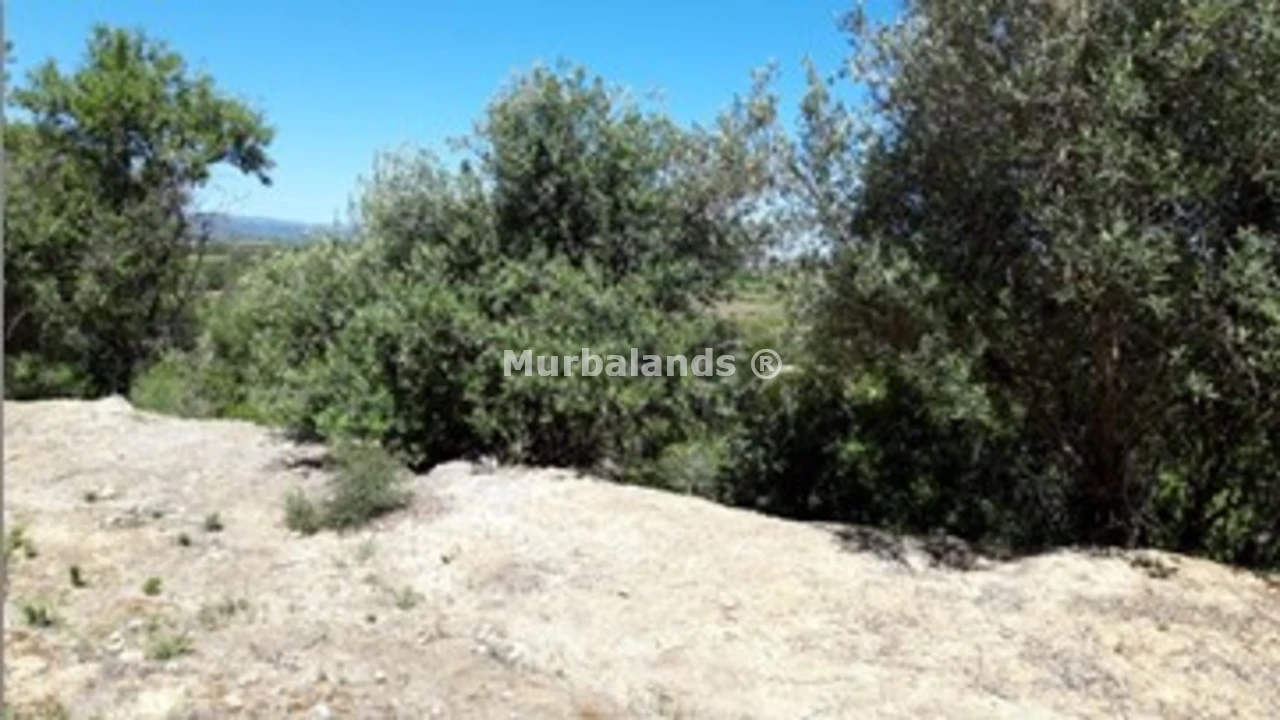 Foto de un terreno o una obra parada para mostrar en el detalle del inmueble