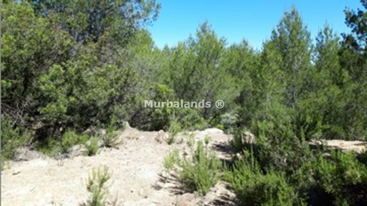 Foto de un terreno o una obra parada para mostrar en el detalle del inmueble