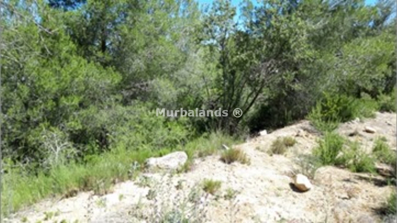 Foto de un terreno o una obra parada para mostrar en el detalle del inmueble