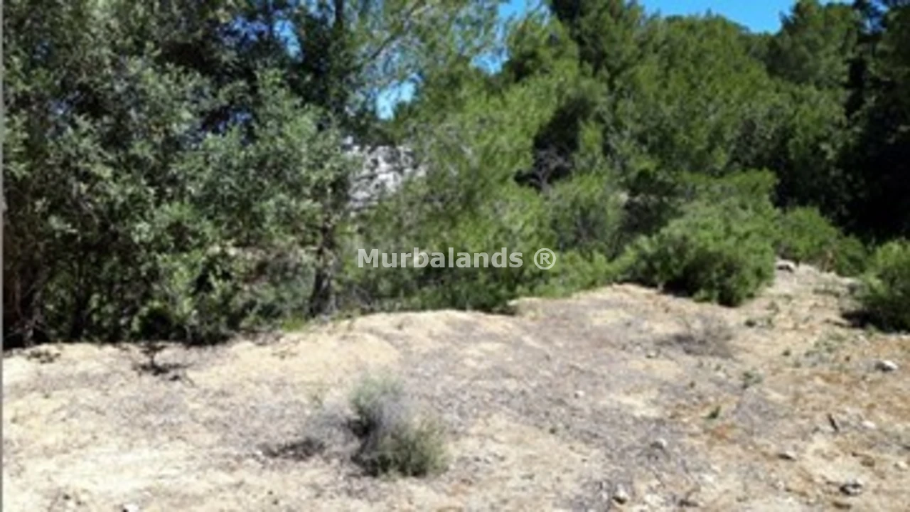 Foto de un terreno o una obra parada para mostrar en el detalle del inmueble