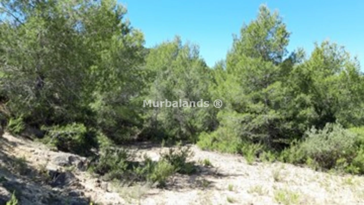 Foto de un terreno o una obra parada para mostrar en el detalle del inmueble