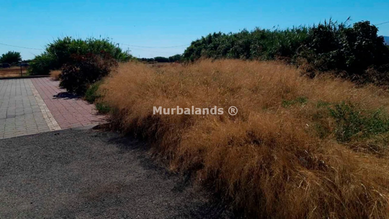 Foto de un terreno o una obra parada para mostrar en el detalle del inmueble