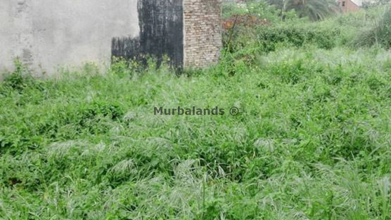 Foto de un terreno o una obra parada para mostrar en el detalle del inmueble