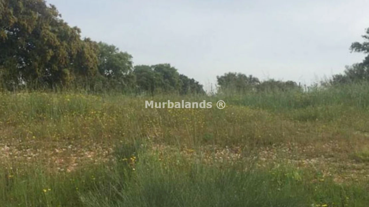 Foto de un terreno o una obra parada para mostrar en el detalle del inmueble