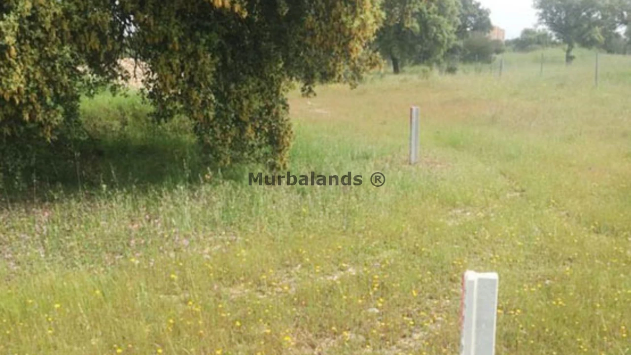 Foto de un terreno o una obra parada para mostrar en el detalle del inmueble