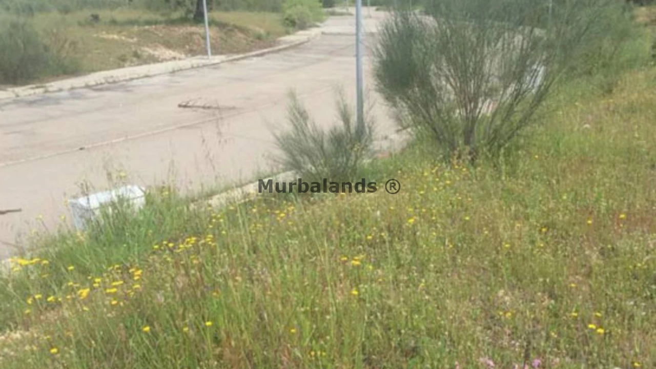 Foto de un terreno o una obra parada para mostrar en el detalle del inmueble