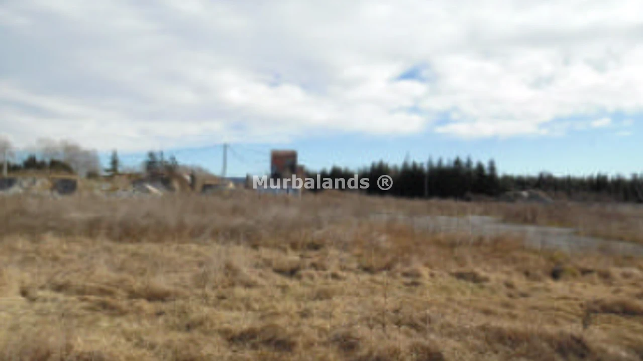 Foto del anuncio Ref. 00005256