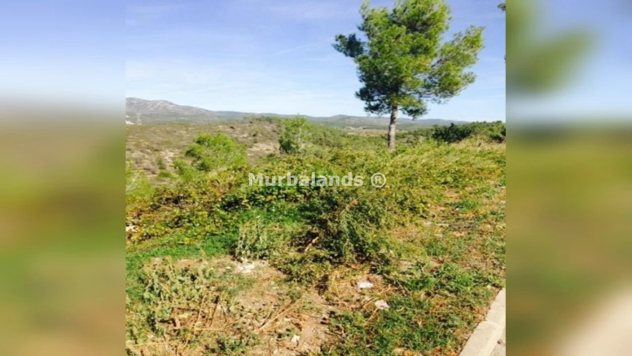Foto de un terreno o una obra parada para mostrar en el detalle del inmueble