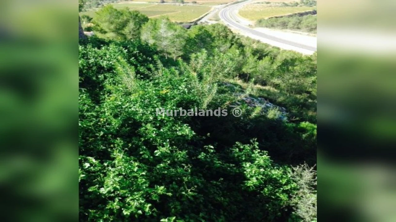 Foto de un terreno o una obra parada para mostrar en el detalle del inmueble