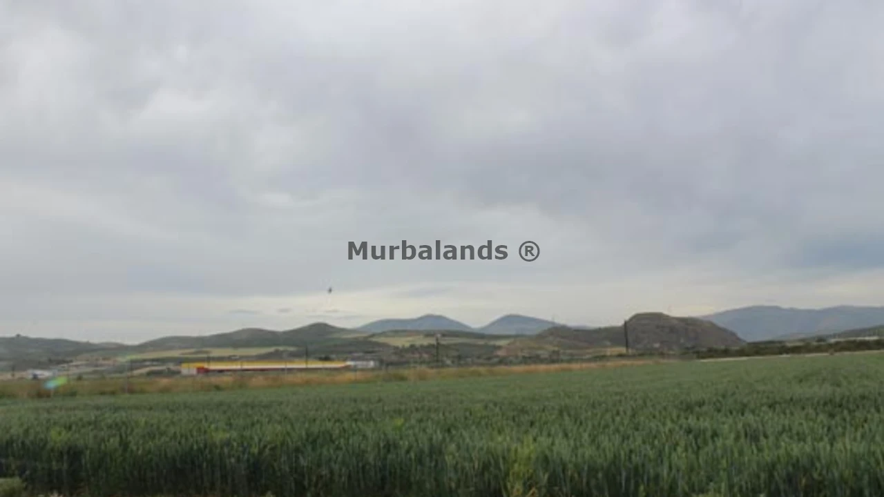 Foto de un terreno o una obra parada para mostrar en el detalle del inmueble