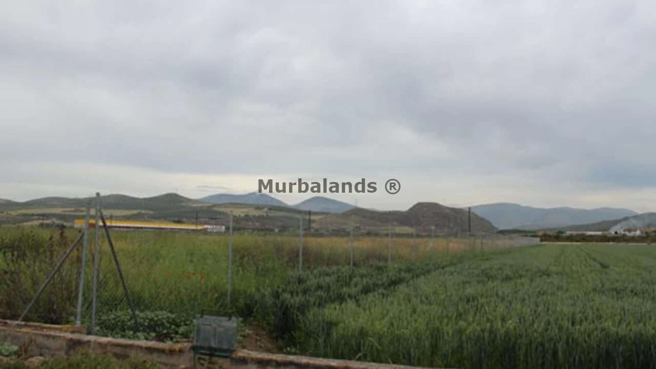 Foto de un terreno o una obra parada para mostrar en el detalle del inmueble