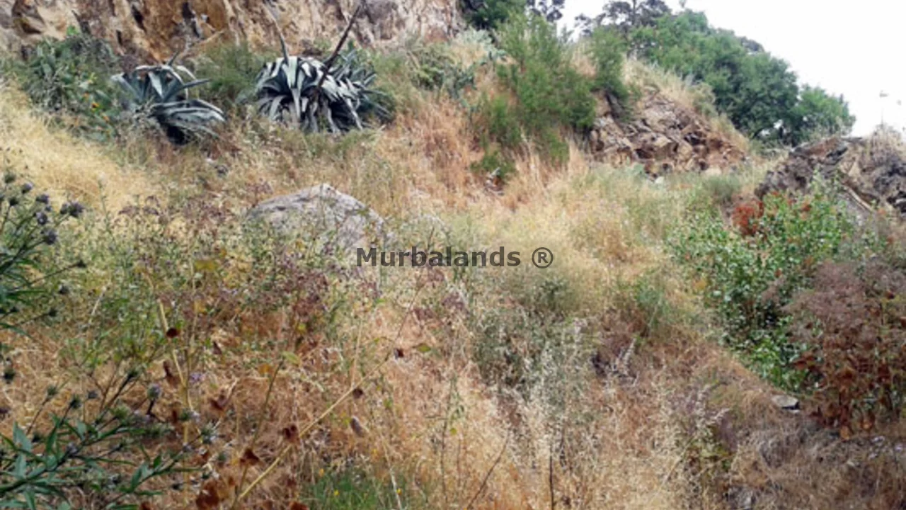 Foto de un terreno o una obra parada para mostrar en el detalle del inmueble