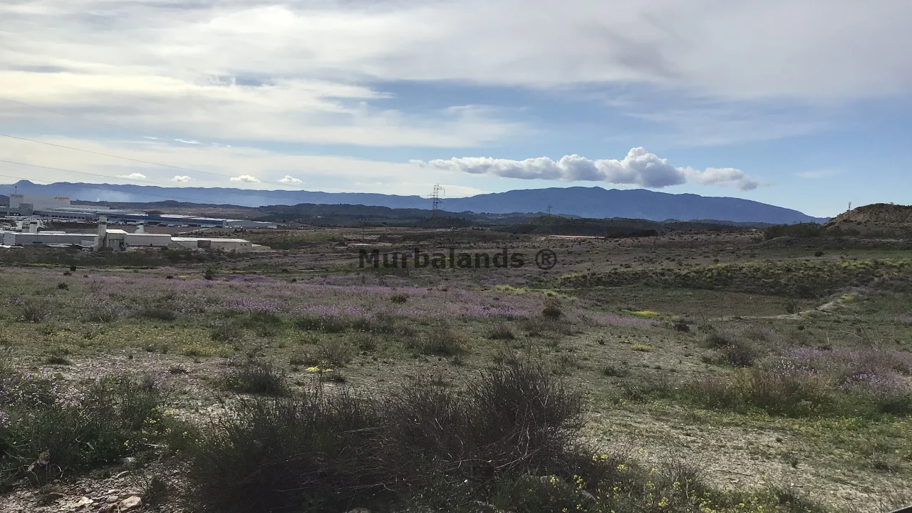 Foto del anuncio Ref. 00005176