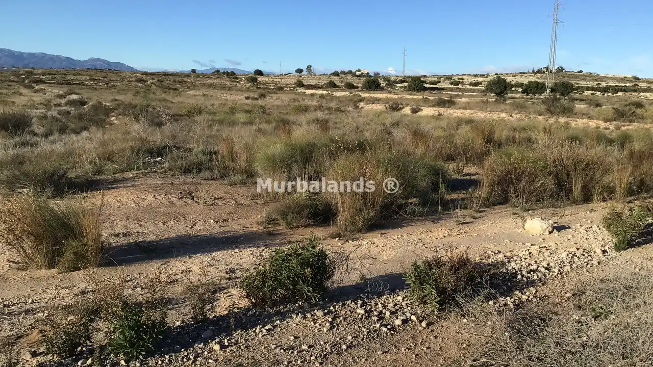 Foto del anuncio Ref. 00005176