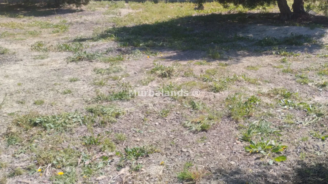 Foto del anuncio Ref. 00005255