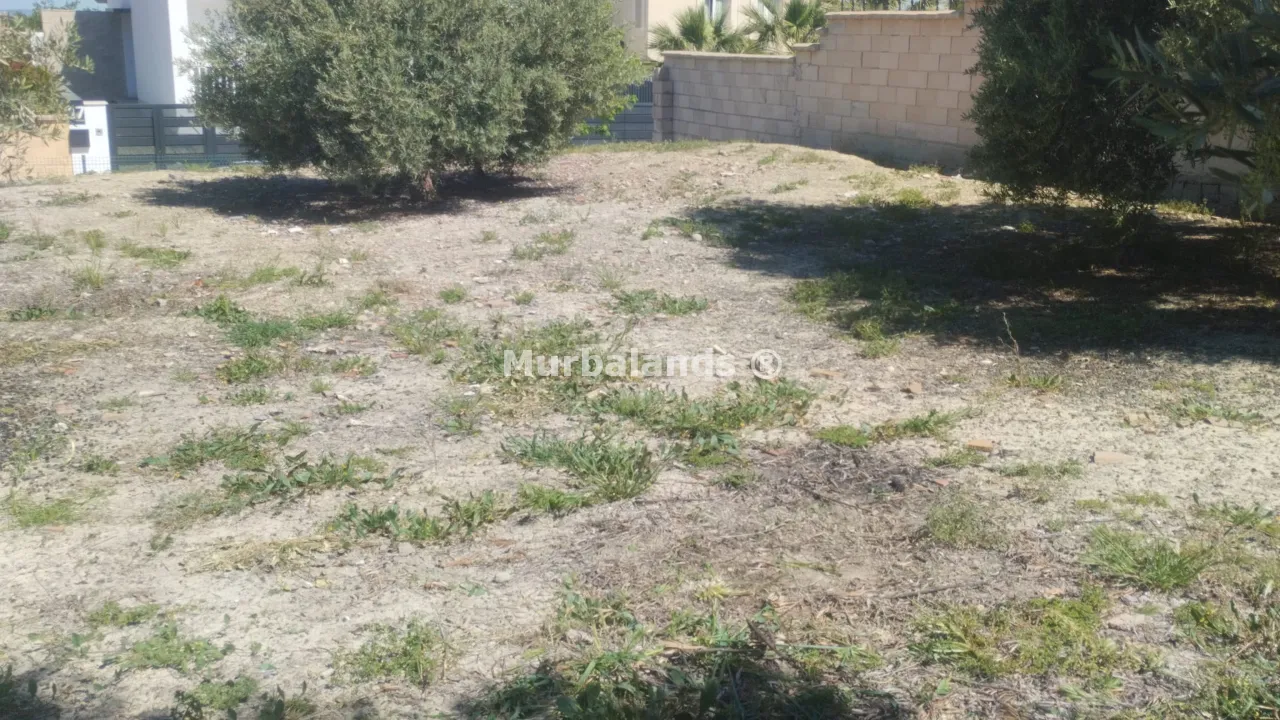 Foto del anuncio Ref. 00005255