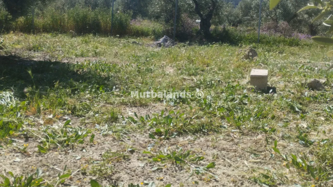 Foto del anuncio Ref. 00005255