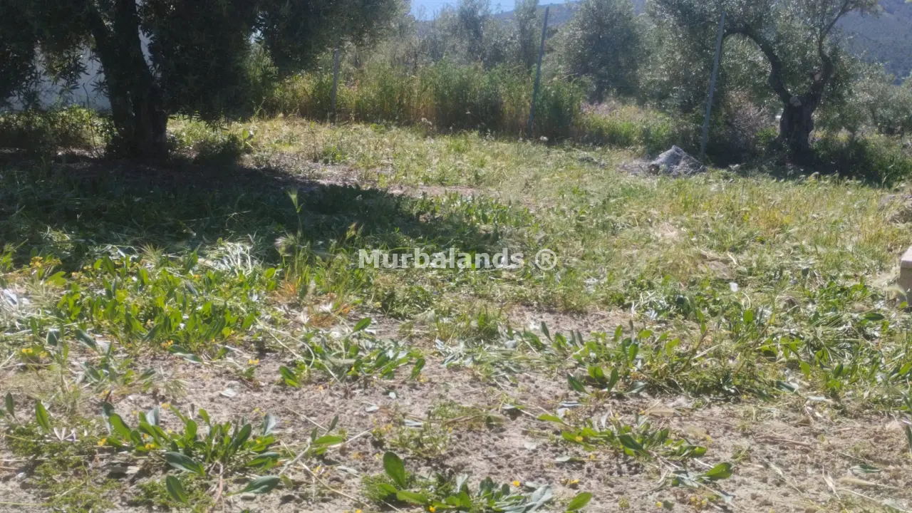 Foto del anuncio Ref. 00005255