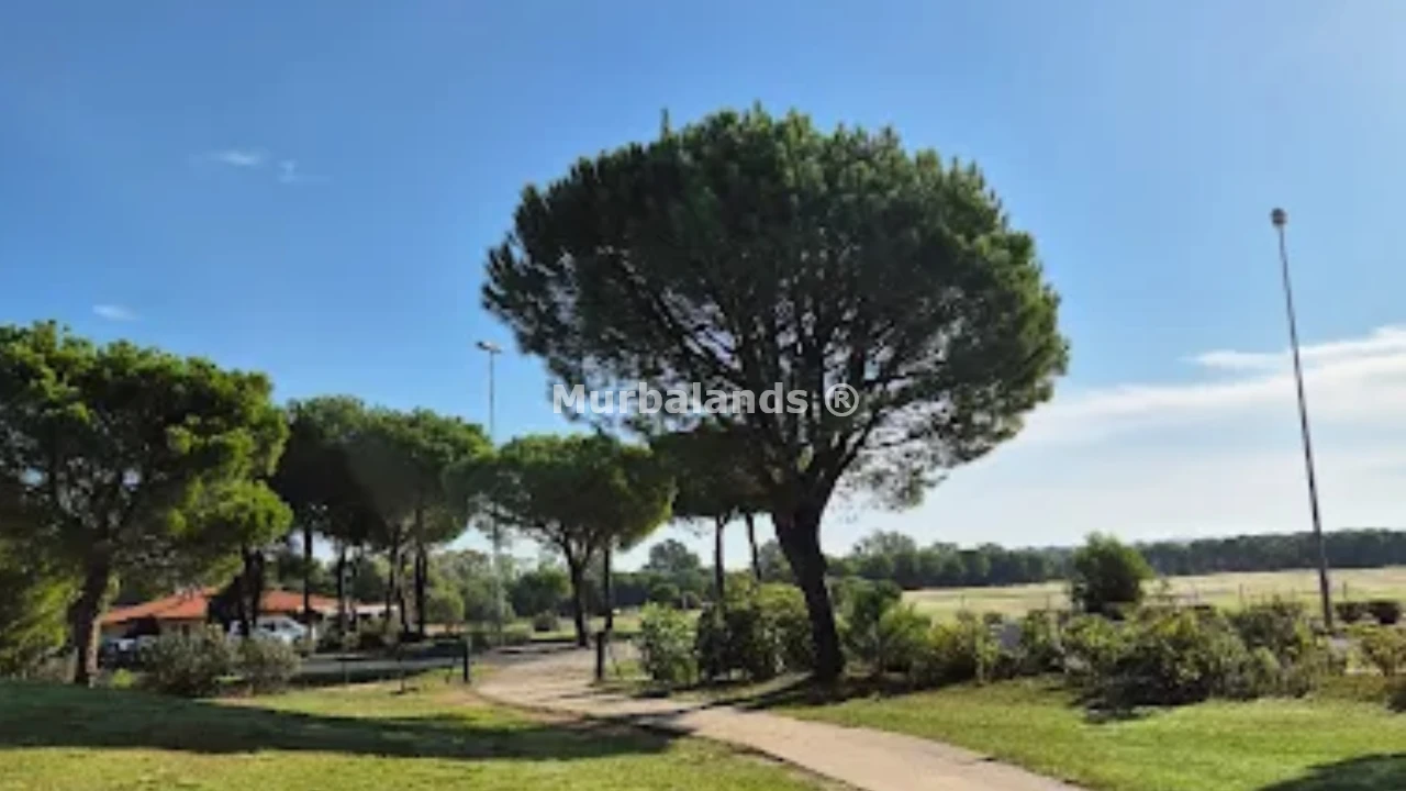 Foto del anuncio Ref. 00005334