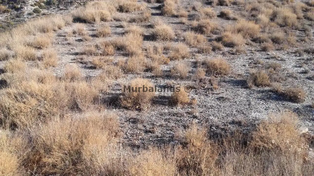 Foto de un terreno o una obra parada para mostrar en el detalle del inmueble