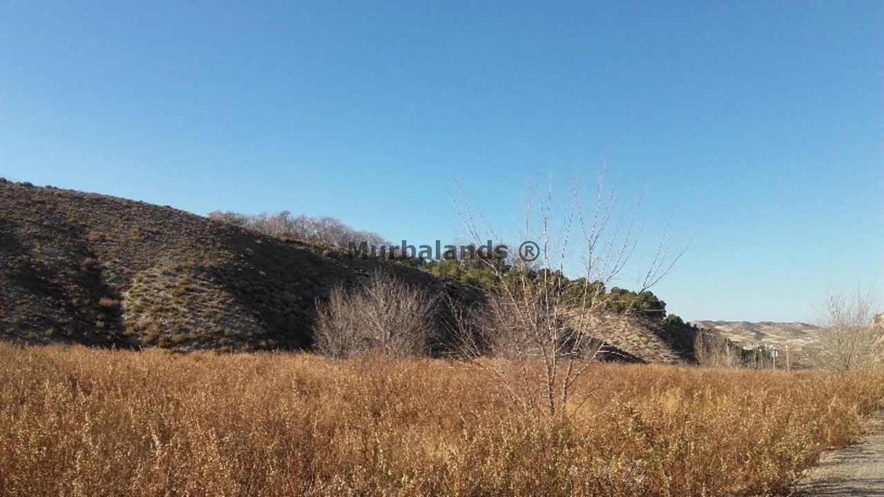 Foto de un terreno o una obra parada para mostrar en el detalle del inmueble